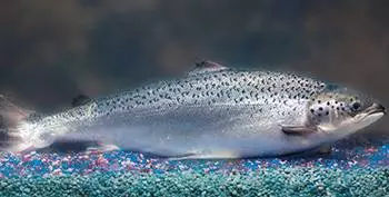 20151123133458 7d79a