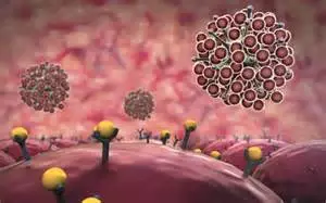 20151204131333 e7e43