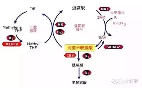 20160411102242 1b6d1