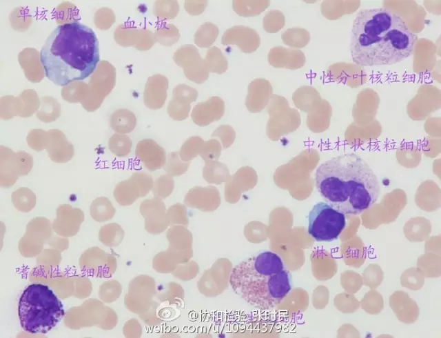 20160428135154 625e8