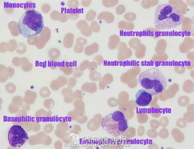 20160428135201 21c11