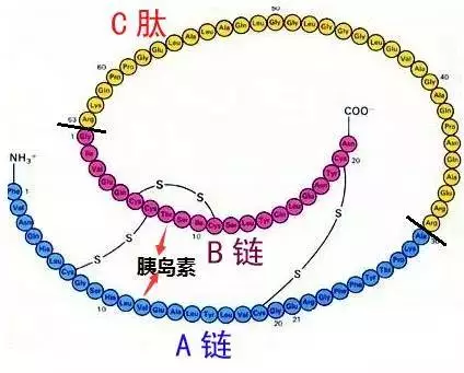 20160513095912 54864