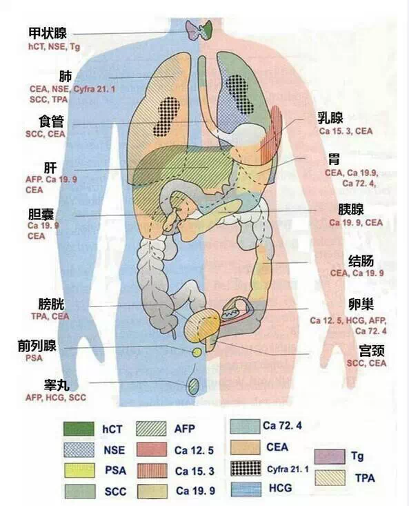 20160622095442 d3083