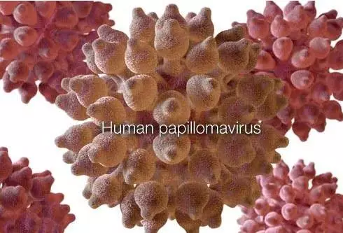 20160811100415 493f1