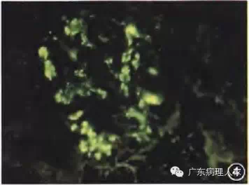 20160817133747 0228a