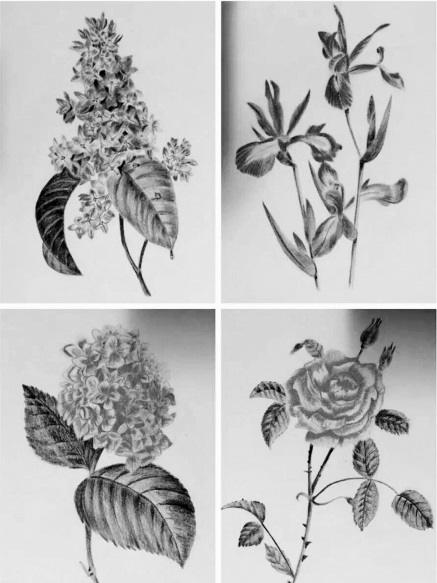 A1444637482 small 4a075