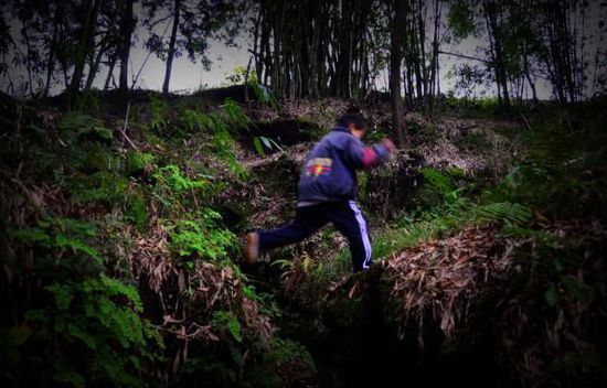 B1441866931 small 48848