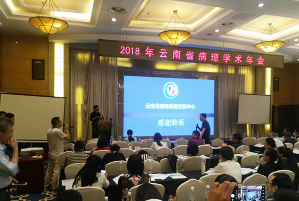 图片2 4ed74